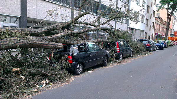 Cómo reclamar los daños sufridos por un temporal