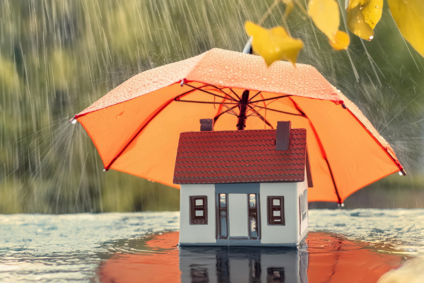 Cómo protegerte en tiempos de crisis Cómo protegerte en tiempos de crisis