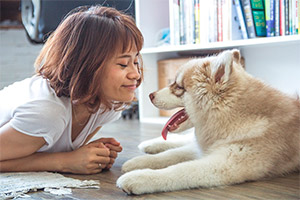 dónde contratar un seguro para mascotas