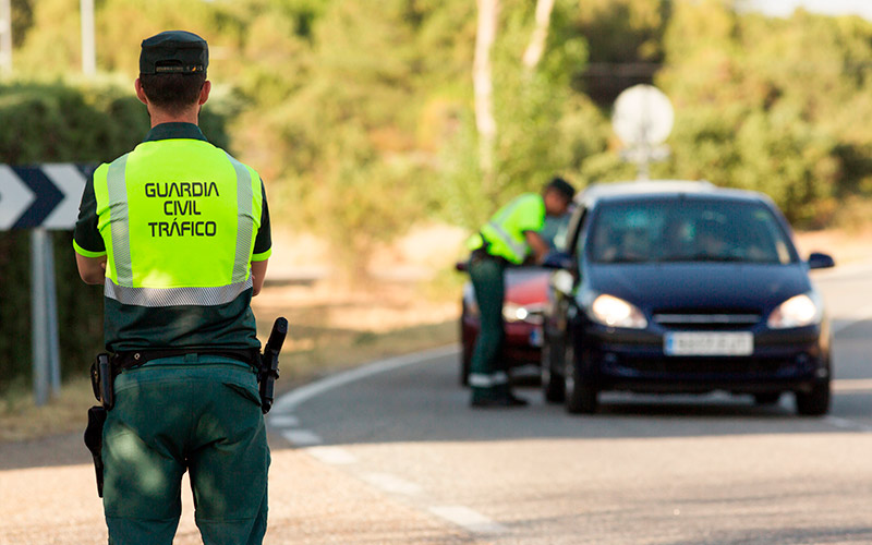 Seguro Retirada Carné de Conducir