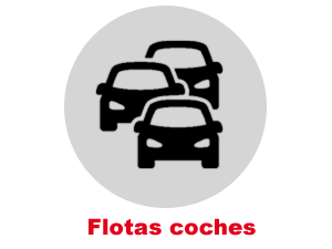 Flotas coches