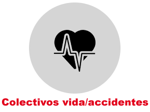 Vida/accidentes